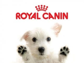 Сухие корма для собак Роял канин (Royal Canin) - Профессиональный премиум корм для Ваших питомцев!