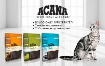 Сухой корм для кошек Акана (Acana) – биологически соответствующее питание!