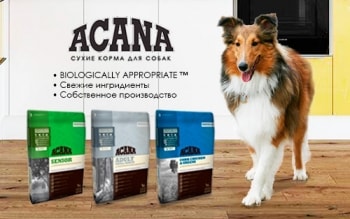 Сухие корма для собак Акана (Acana) – тщательный отбор ингредиентов для Ваших питомцев! 