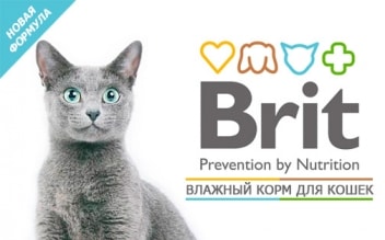 Влажные корма для кошек Брит (Brit) - изготовлены из экологически чистых продуктов!
