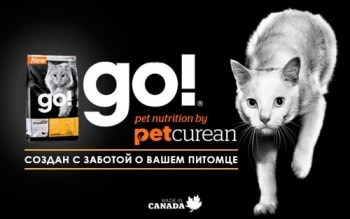 Сухой корм для кошек Go! (Гоу) – питание на основе сельскохозяйственных продуктов и свежего мяса!