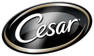 Cesar Image