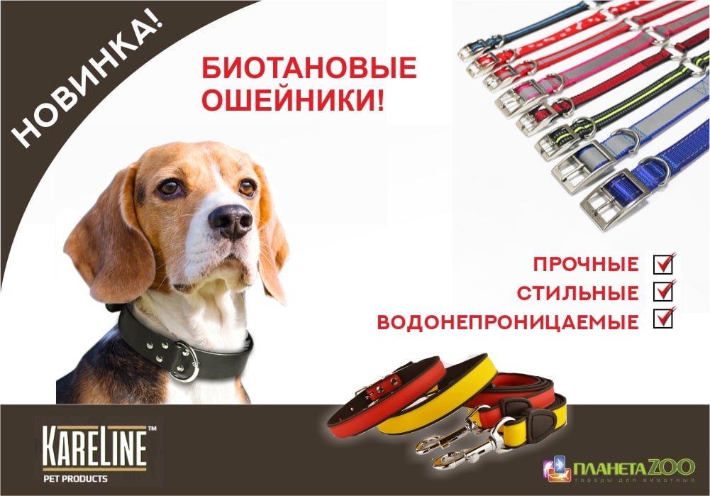 Амуниция Kareline для собак