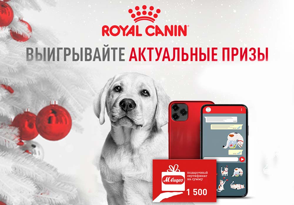 Выигрывайте актуальный призы от Royal Canin
