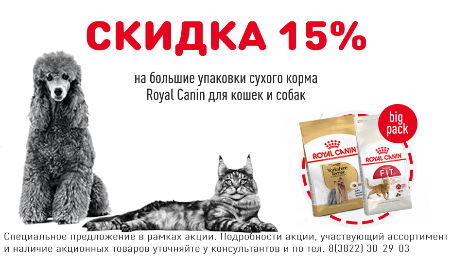 Акция на большие упаковки кормов Royal Canin для кошек и собак