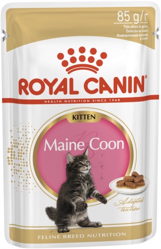 Влажный корм для котят породы Мэйн кун Royal Canin (Роял Канин) с соусом, 85 гр